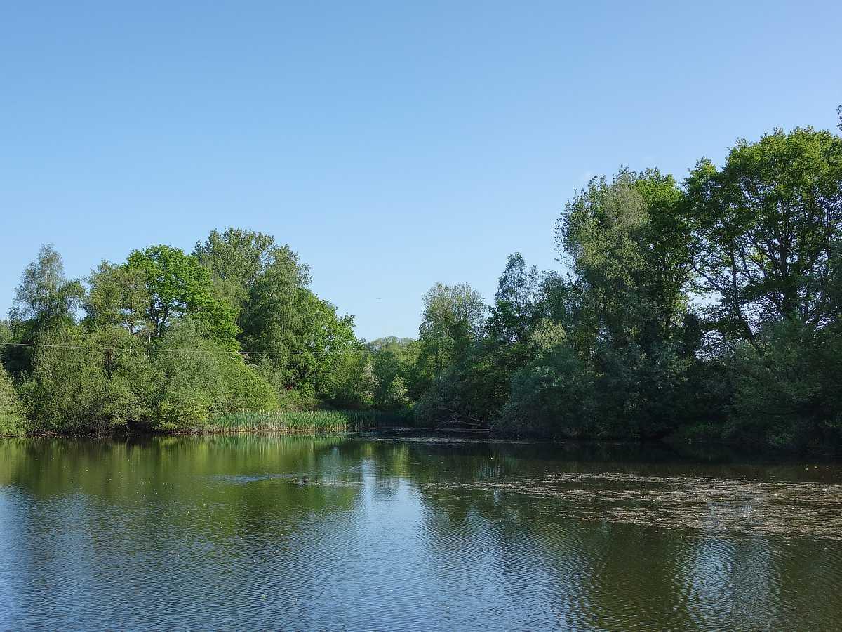 Costessey No.1 Lake at Tvareham Mills